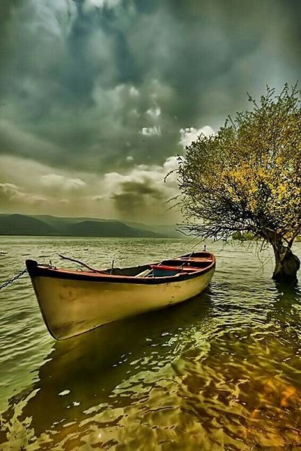 d98e2b1c6e11b66d1729f8559b25b74a